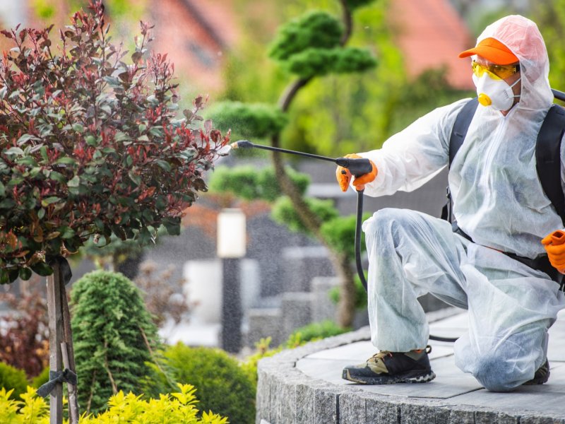 Yenişehir Haşere İlaçlama